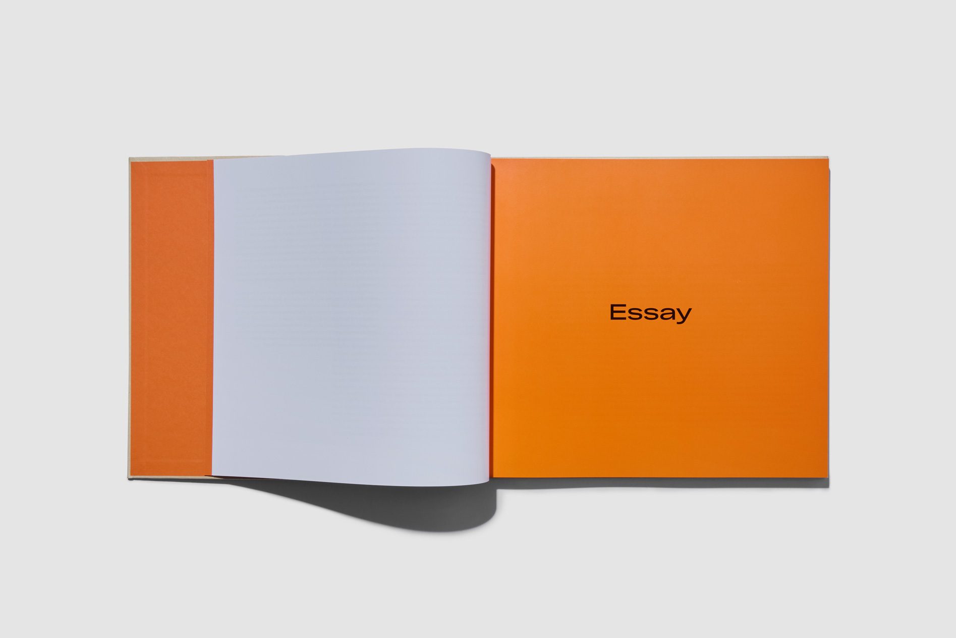 Joy Labinjo monograph