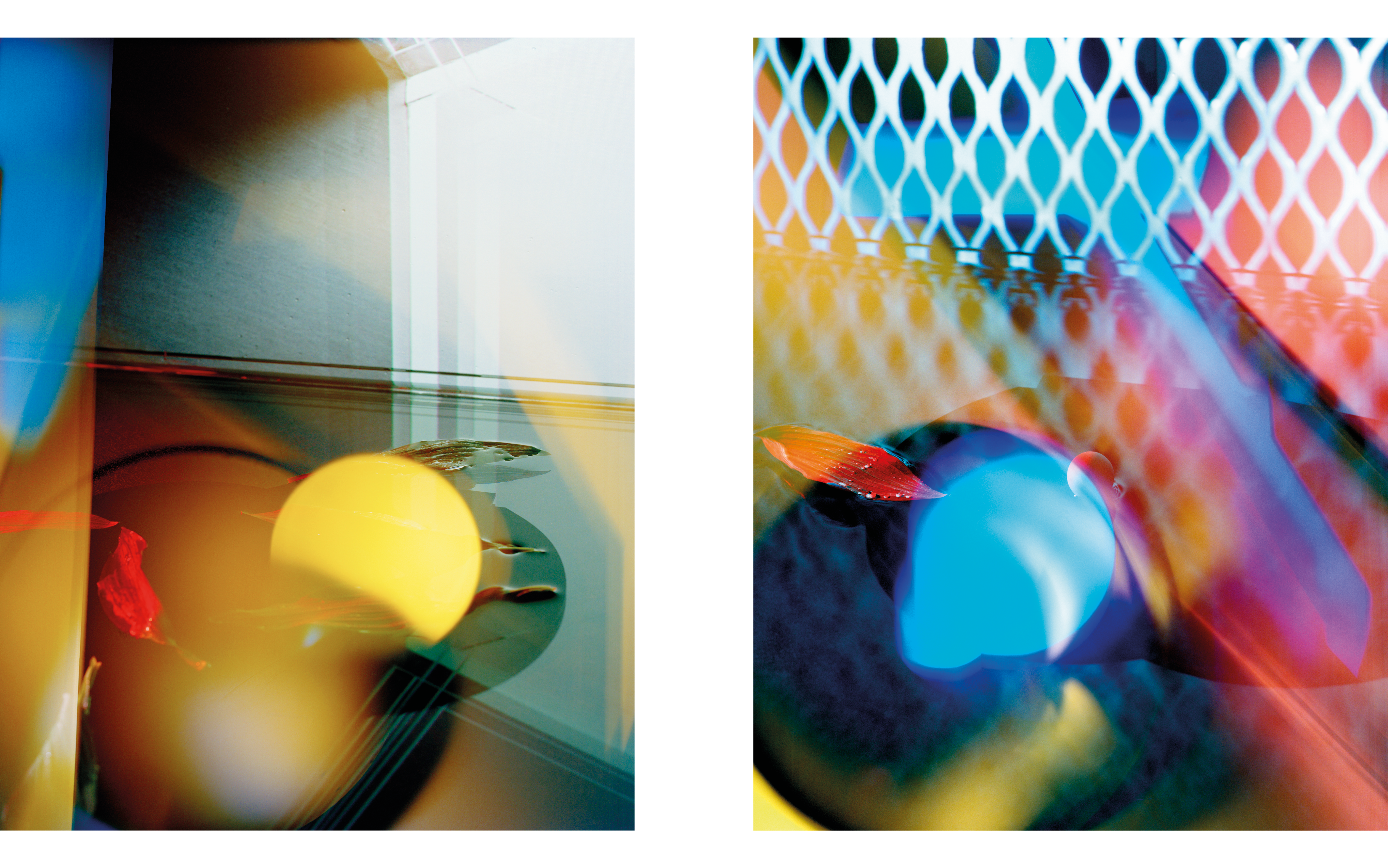 Suprstructur branding