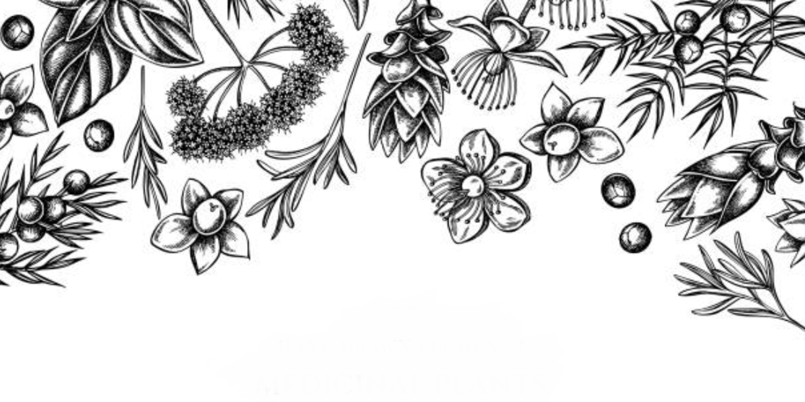 Gins ... and Tonics !