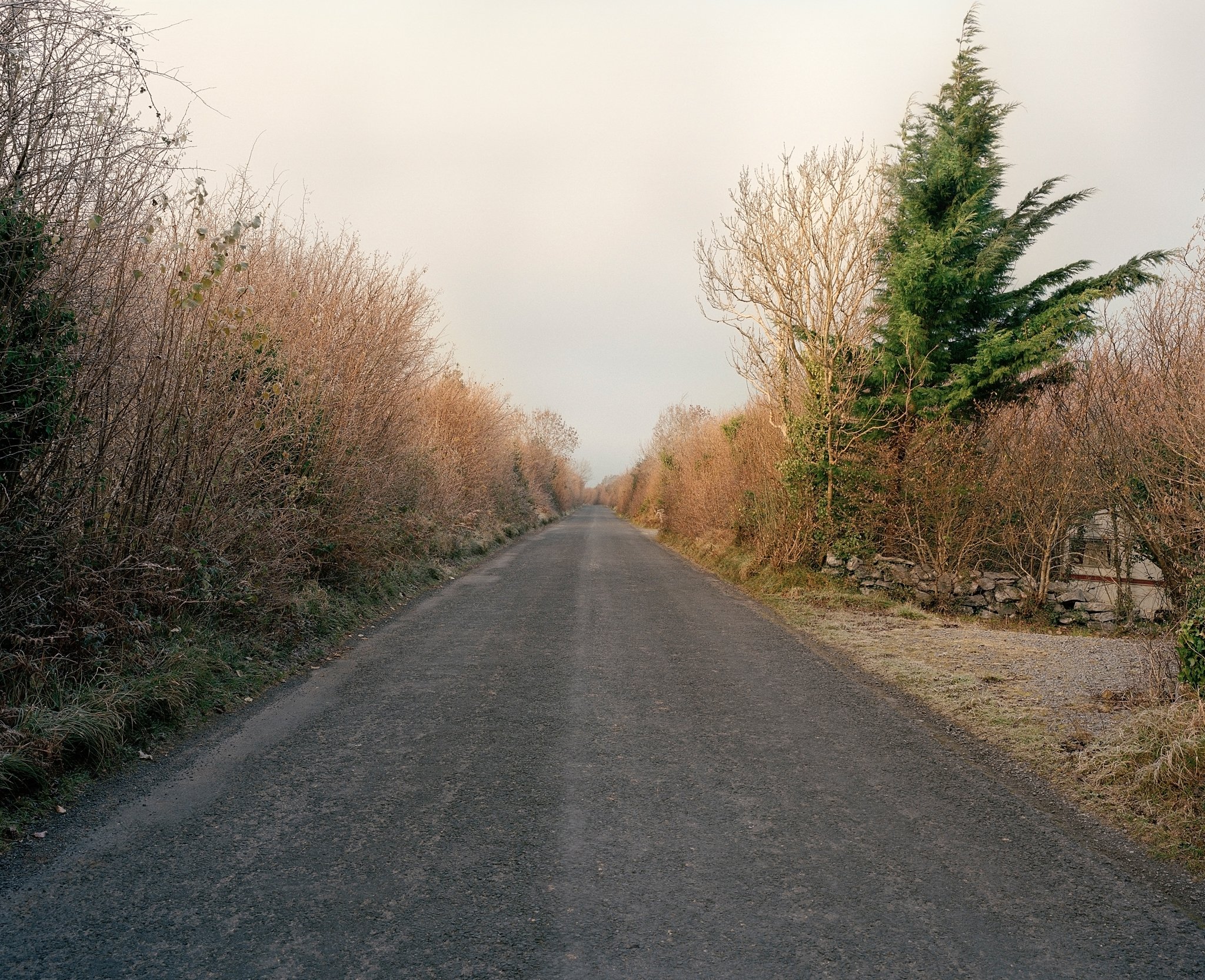 New Line road, February 2010