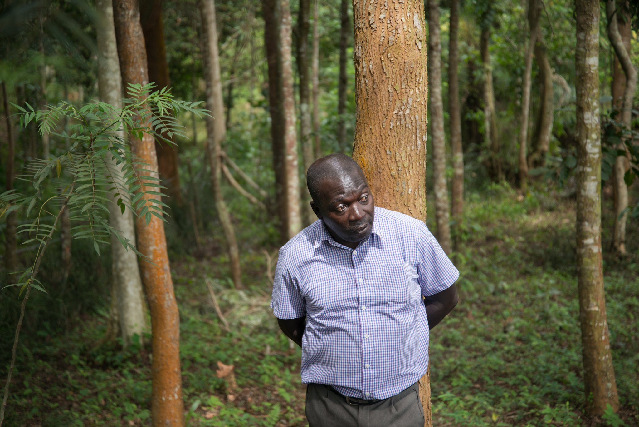 Kizito, 2013