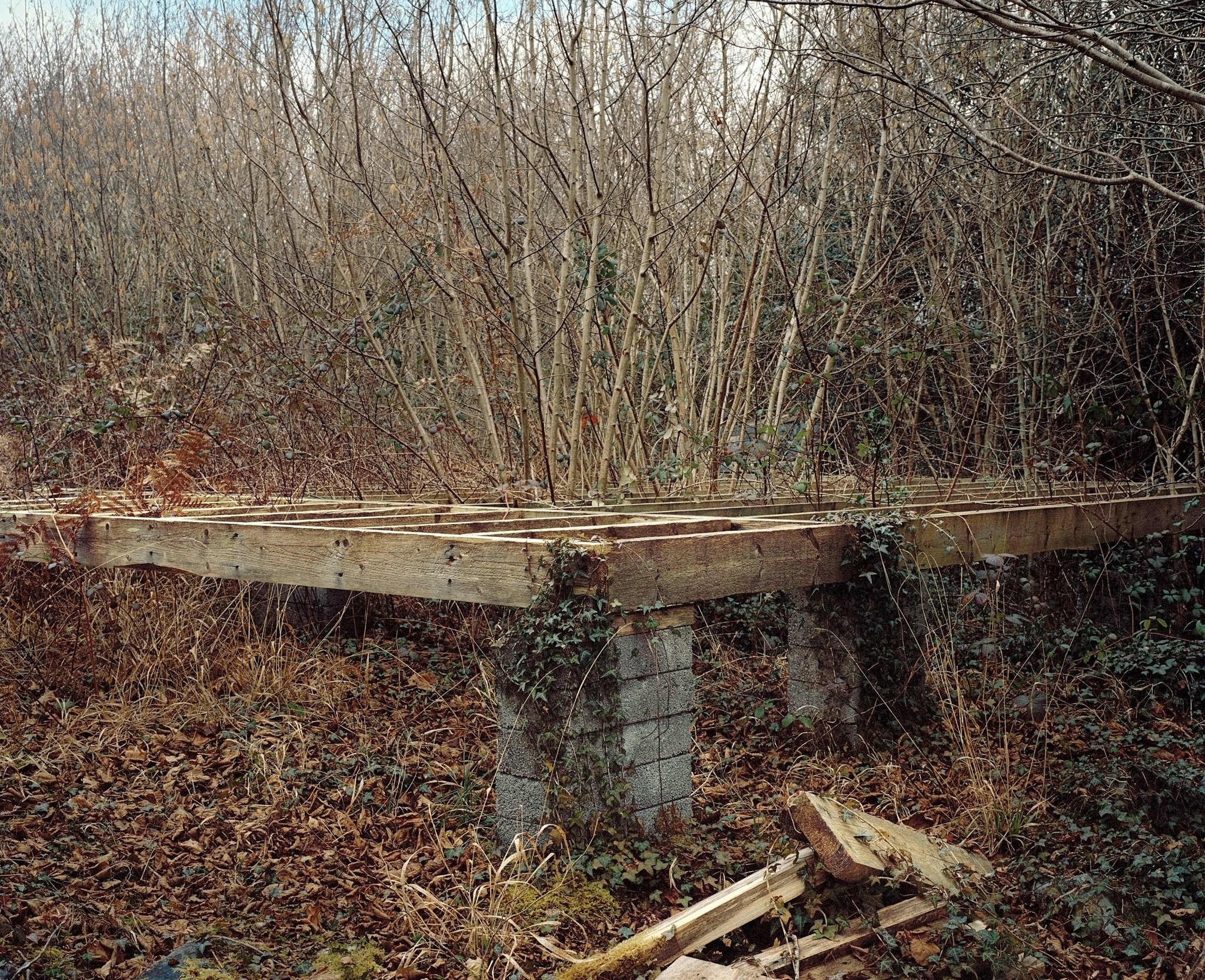 Abandoned foundations, March 2010