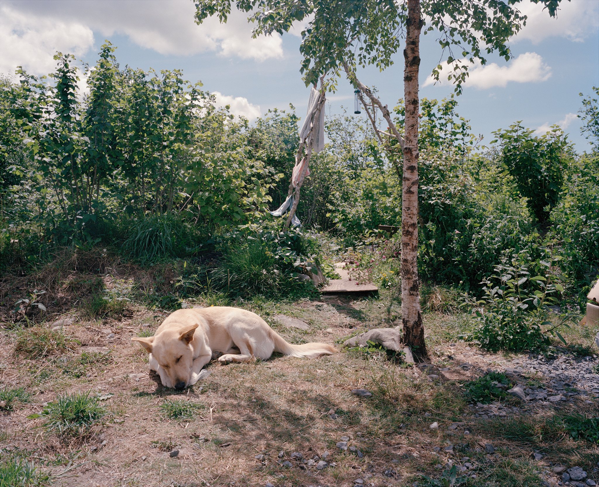 Buddy, June 2010