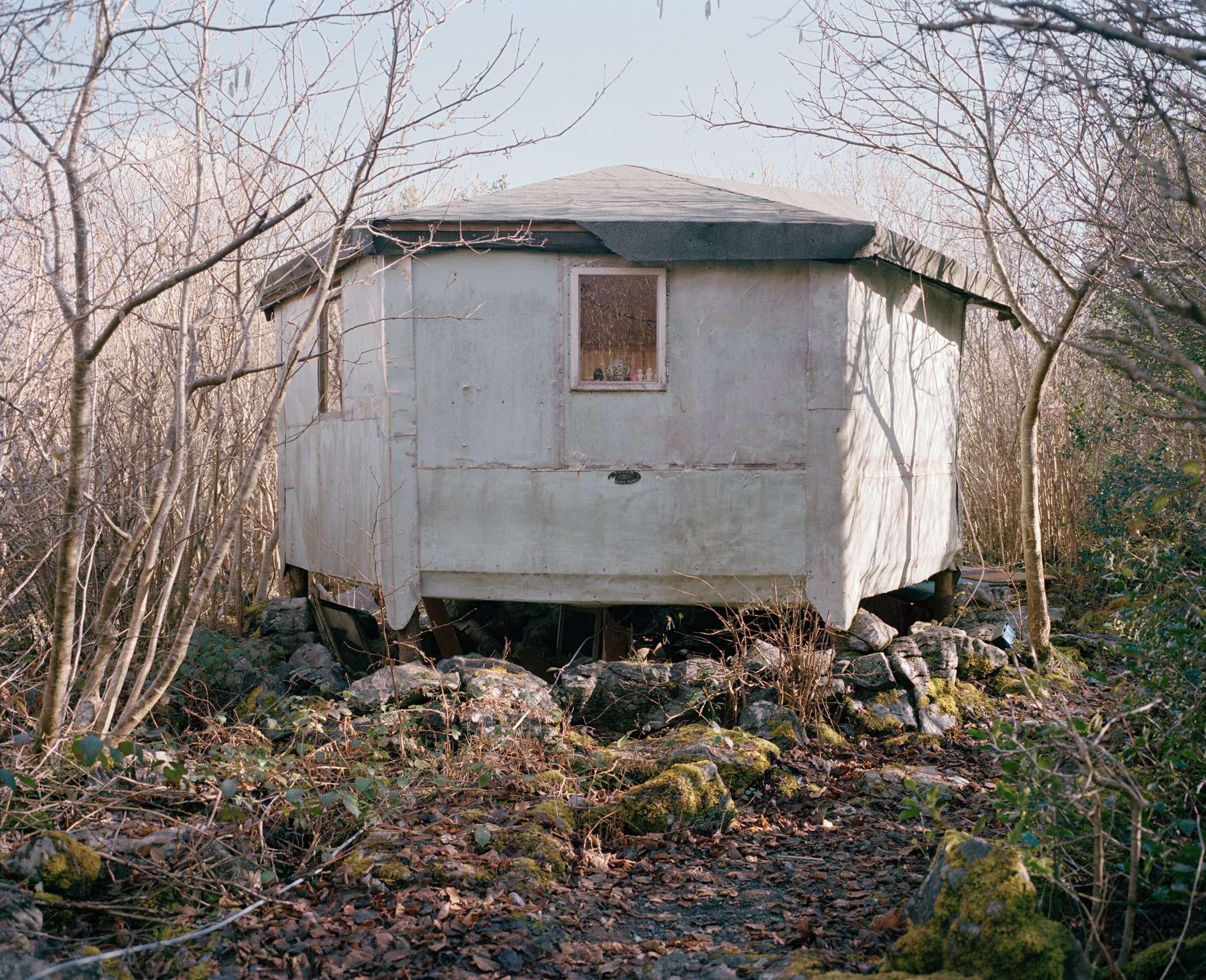 Joann's 'Nest', March 2010