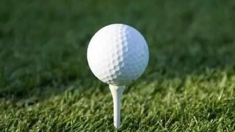golf ball tee