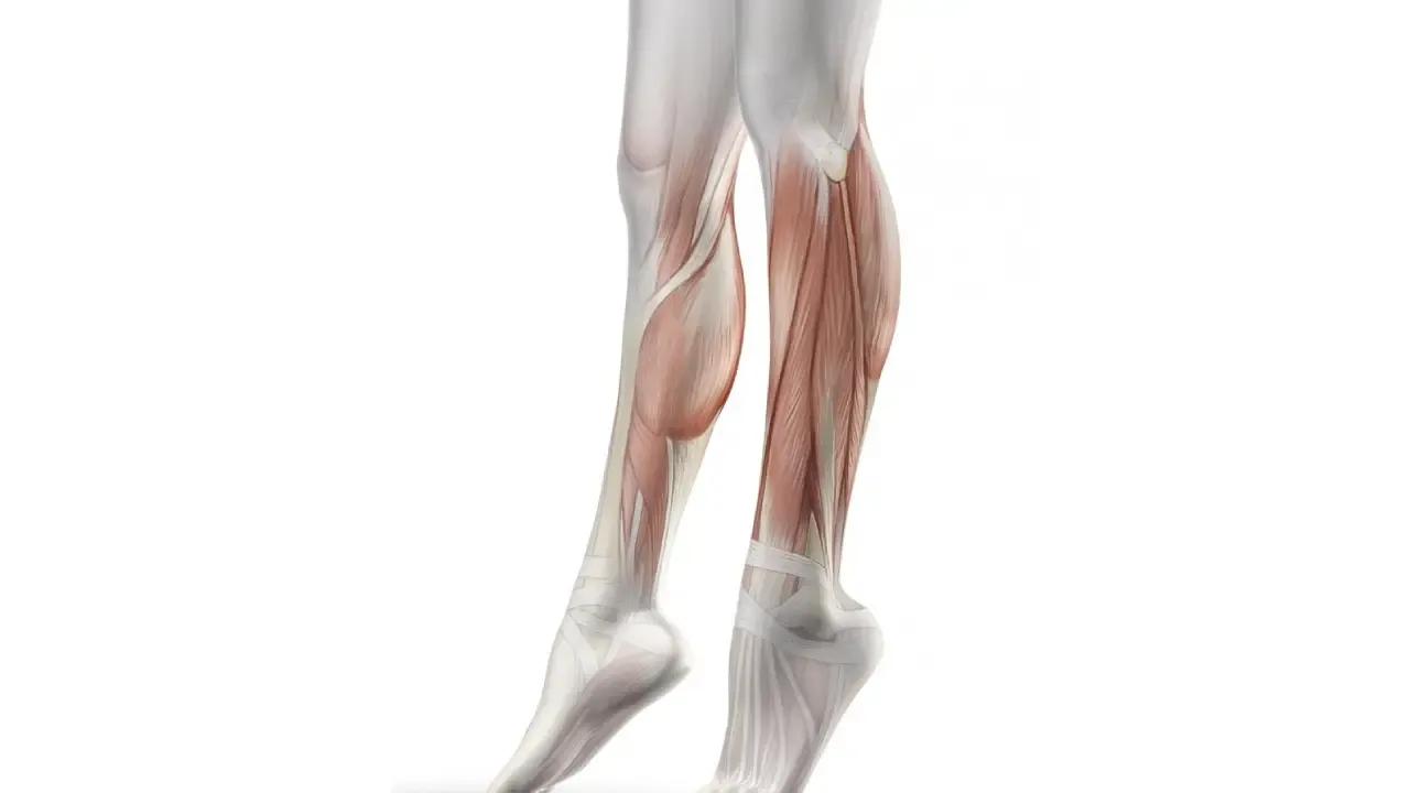 Featured image for Achilles Tendonosis and Physio