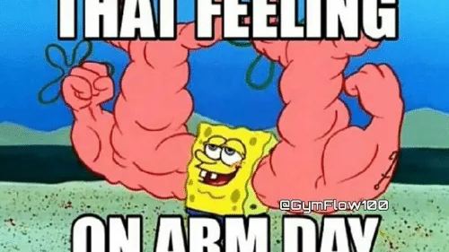 arm day
