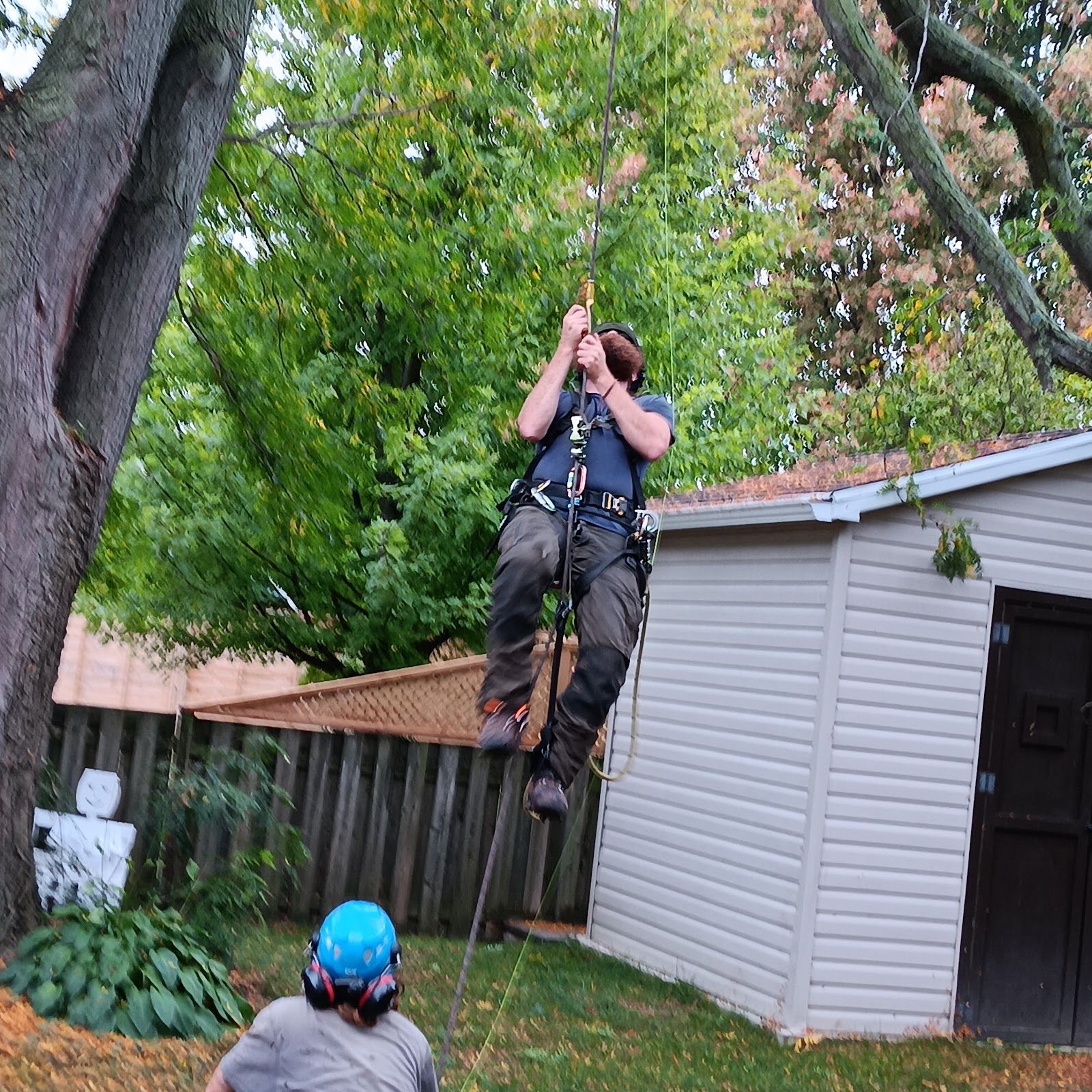 Soil to Sky Tree Solutions