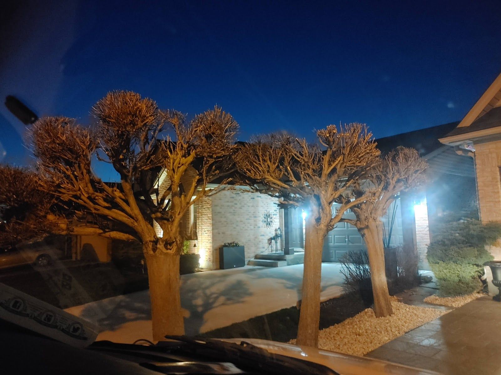 WhiteOaks Tree Service customer