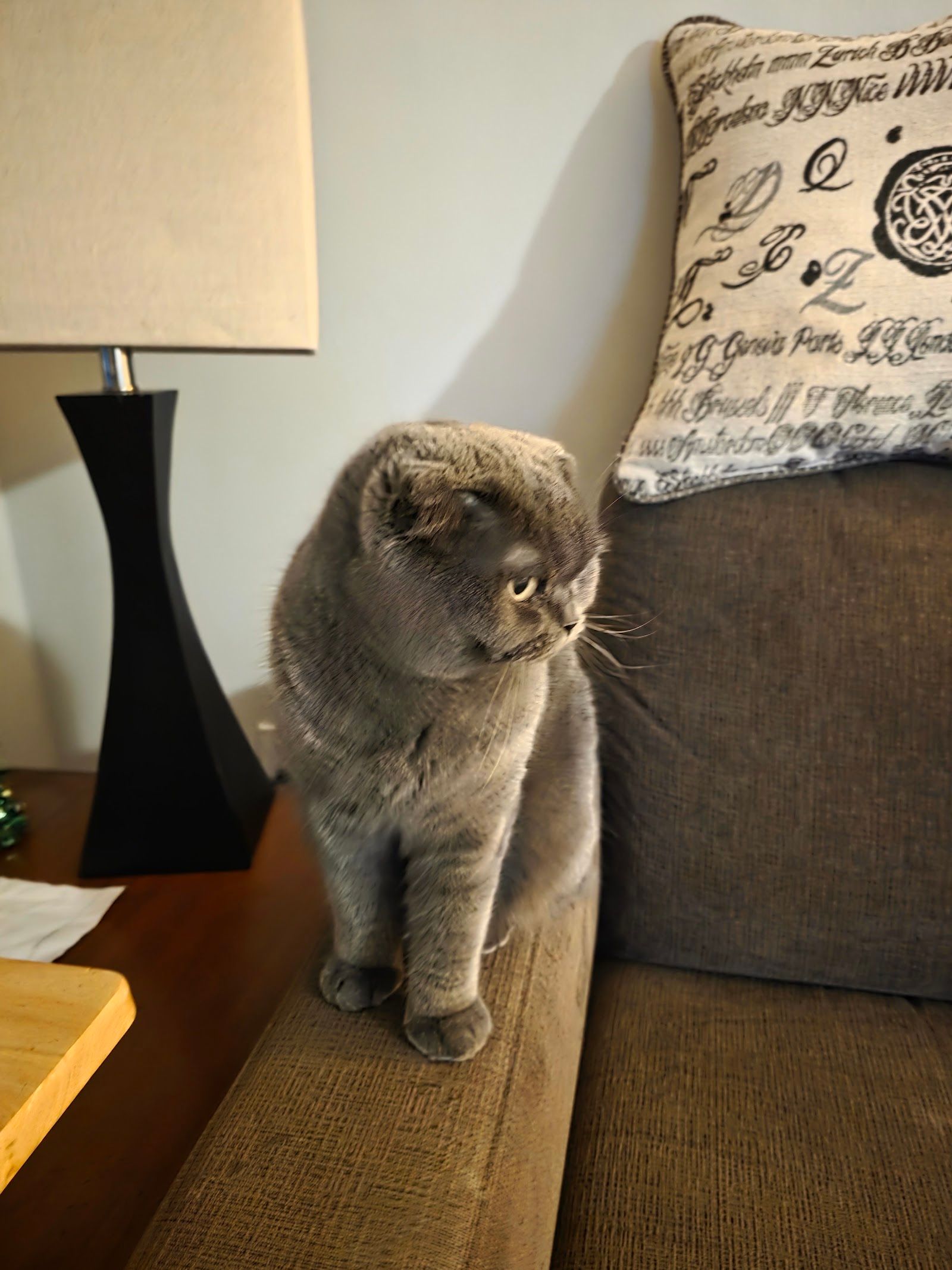 Clippingdale's Salon For Pets customer