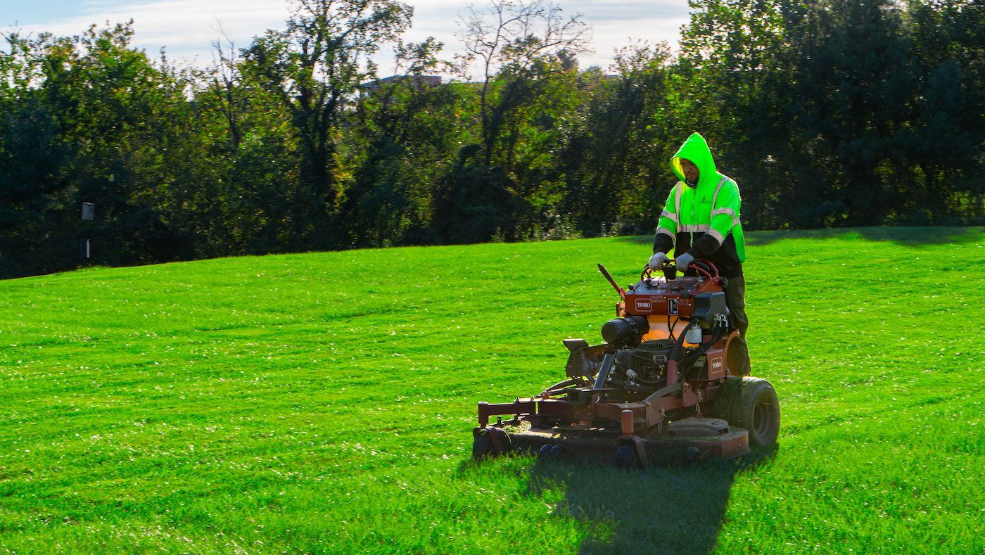 Helonk landscaping highlights