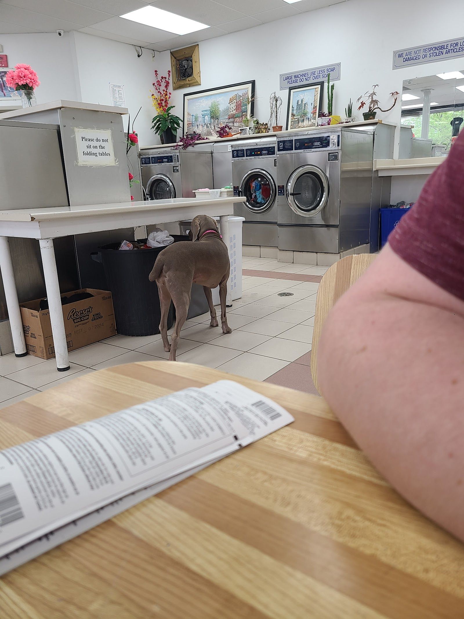 THOMPSON LAUNDRY highlights