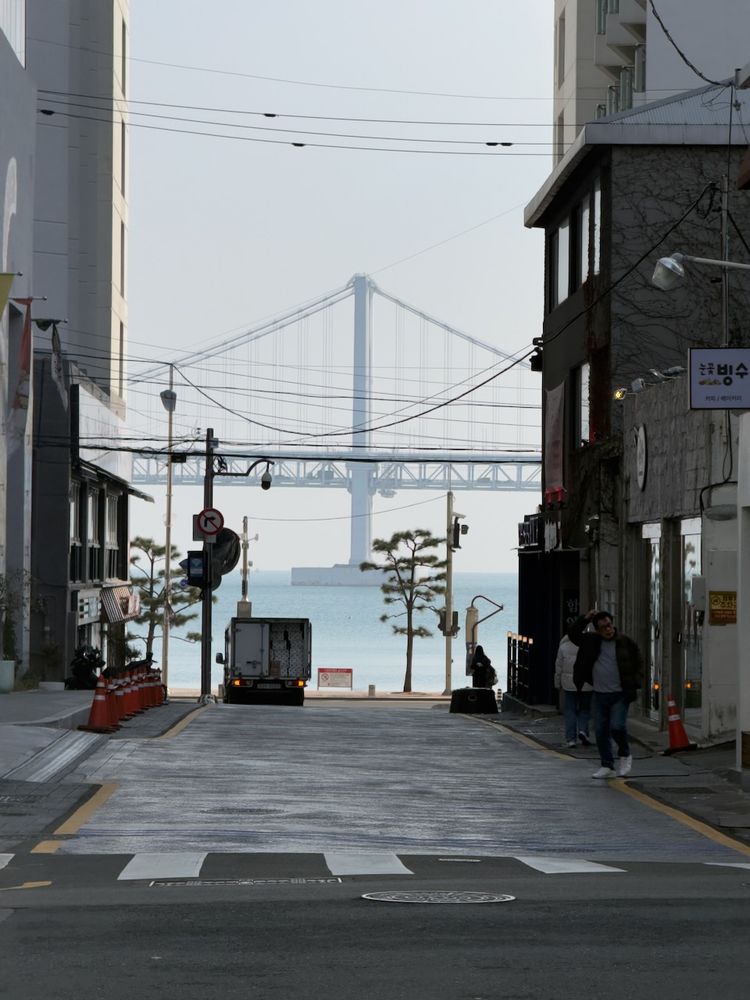 bridge seen through buildings
