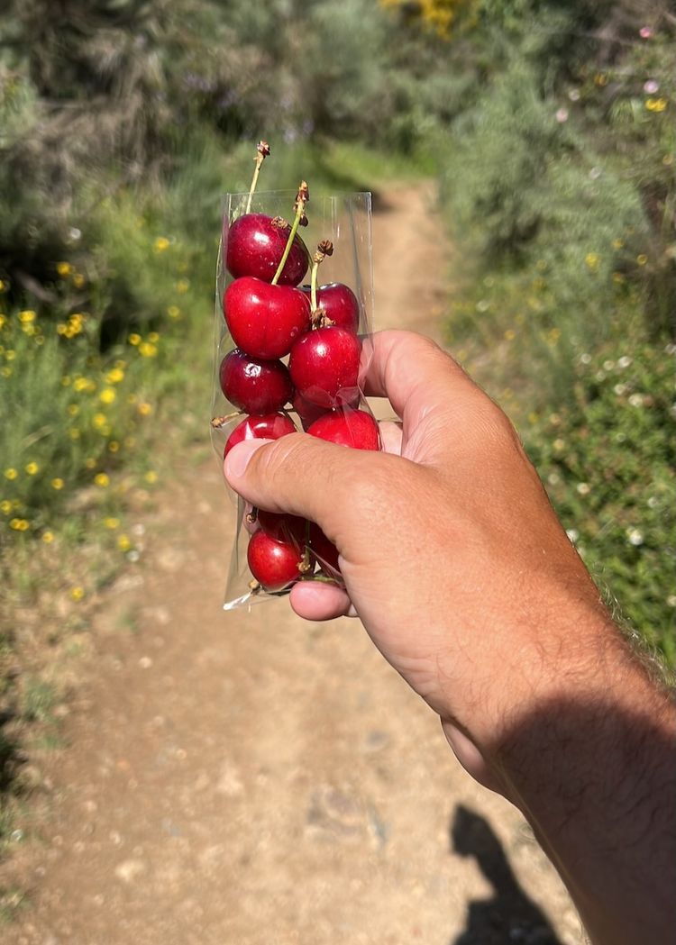 pov holding cherries