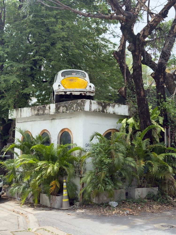 car on roof