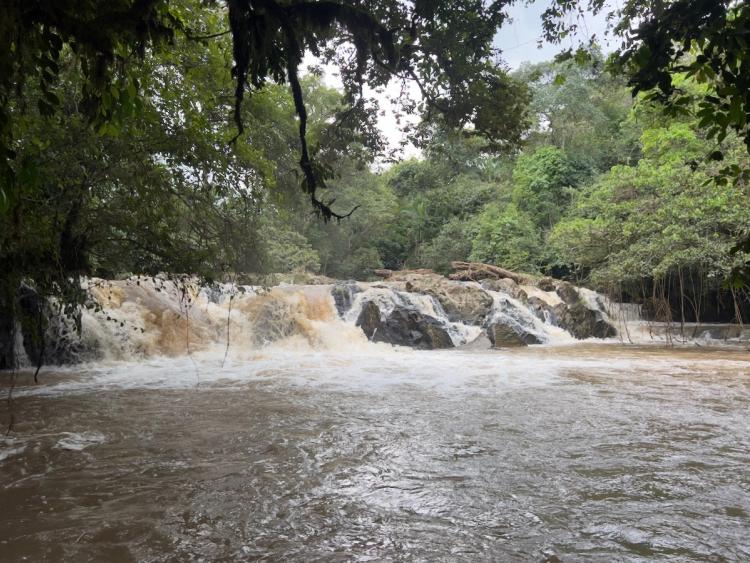 waterfall in jungle