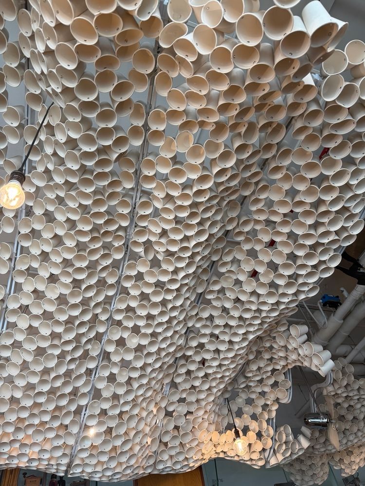 coffee cups as art