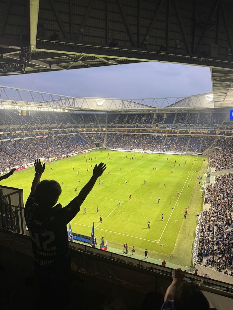 football supporter at match