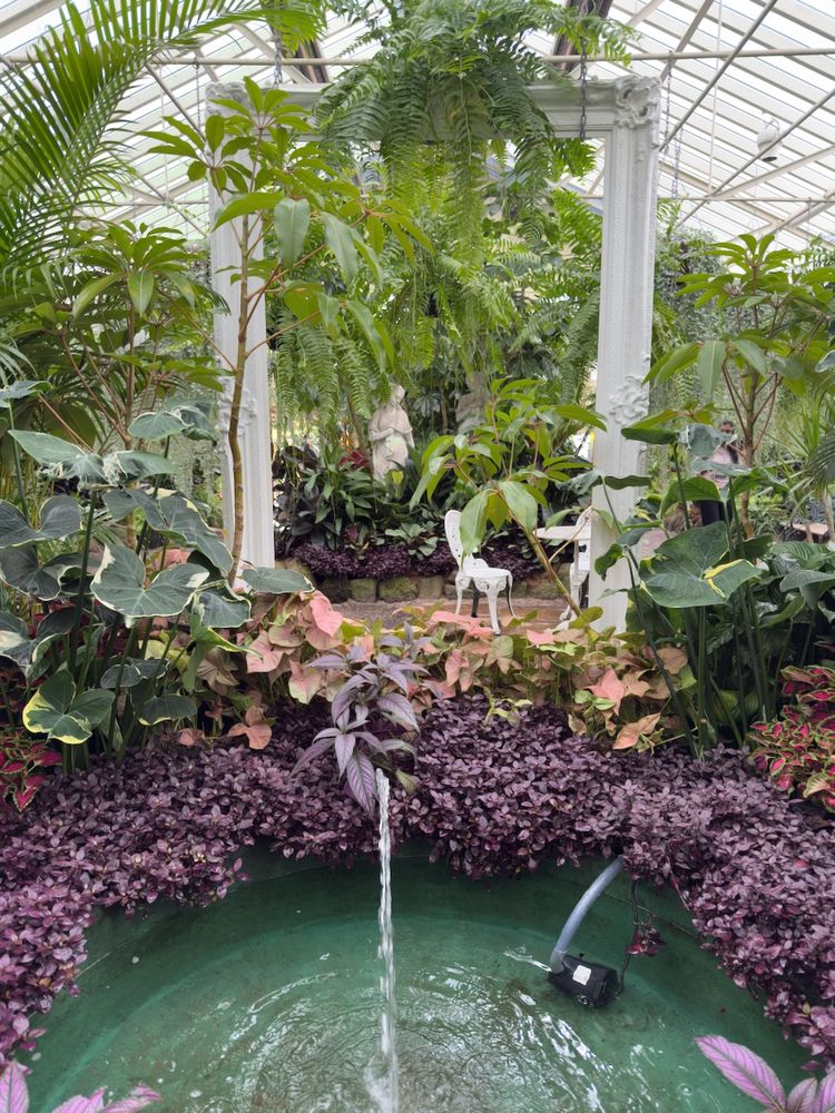 plants in a solarium