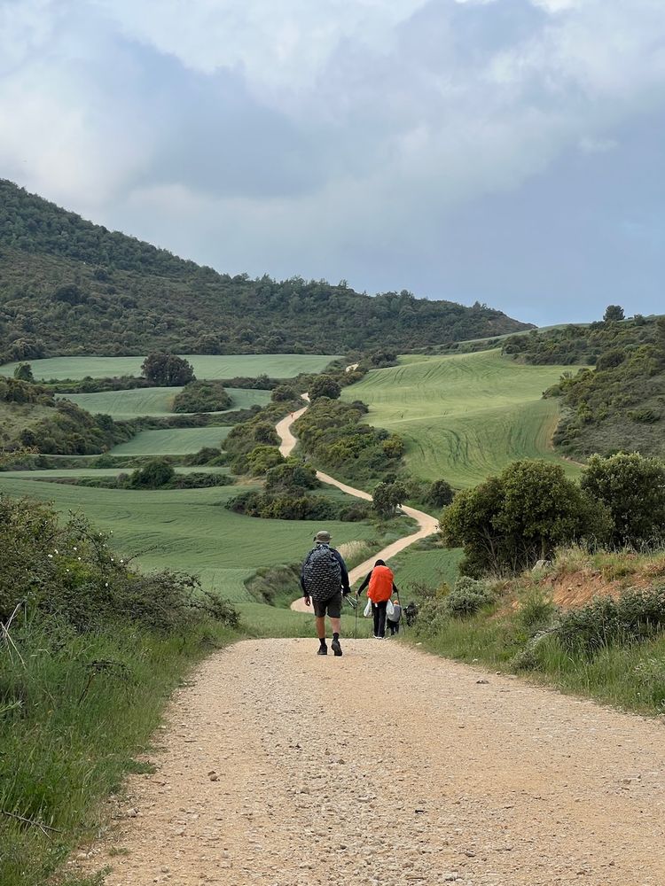 the path of the camino