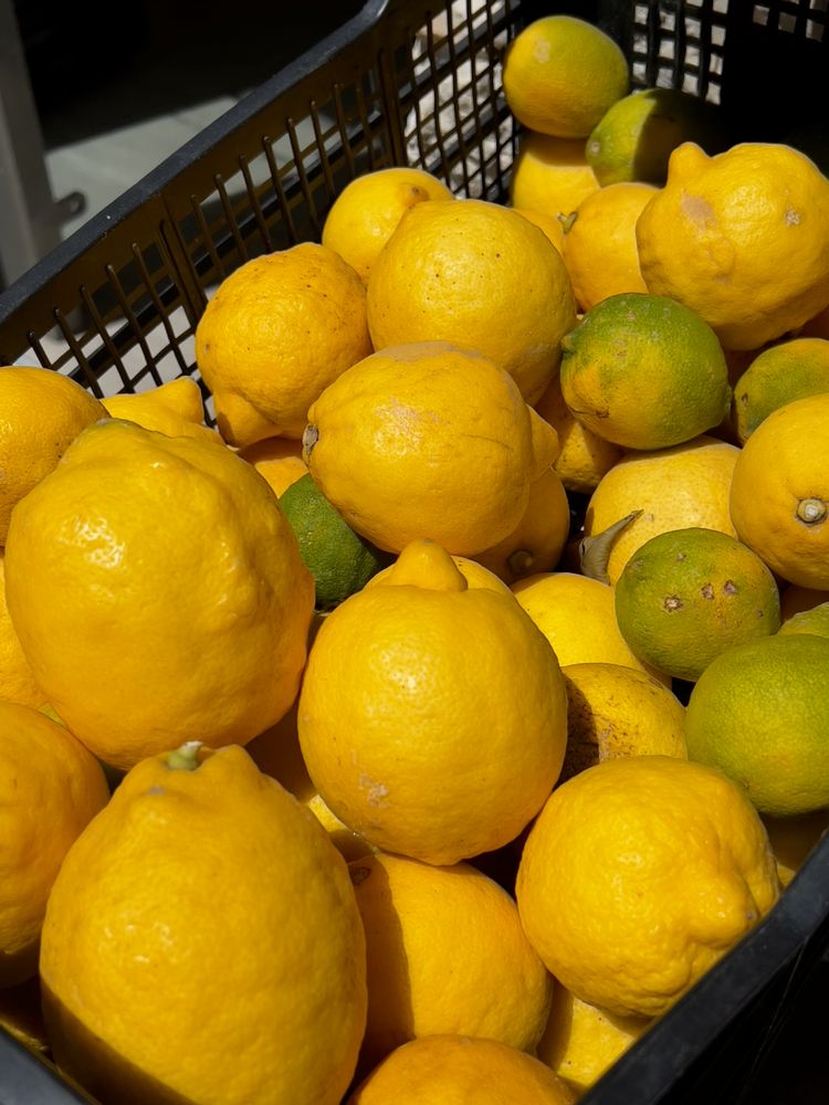 basket of lemons