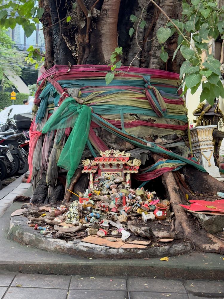 tree with shrine