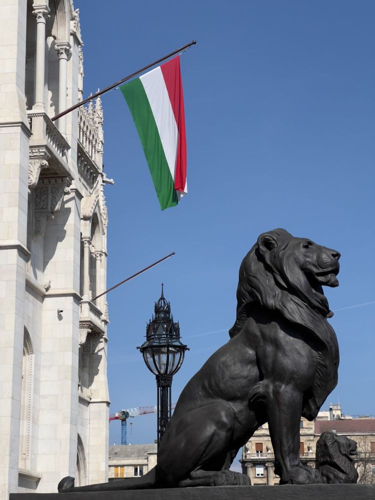 lion statue outside government building