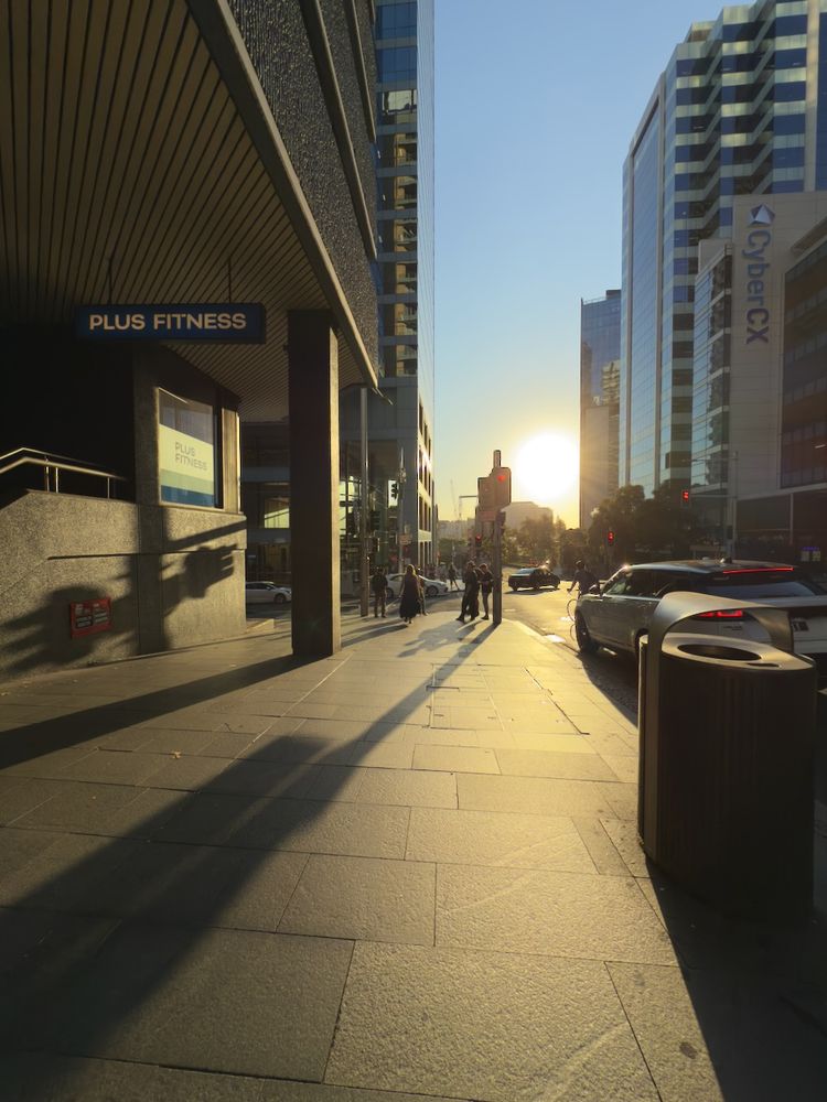 long shadows at sunset