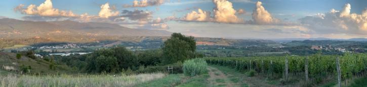 panoramic of Tuscan countryside