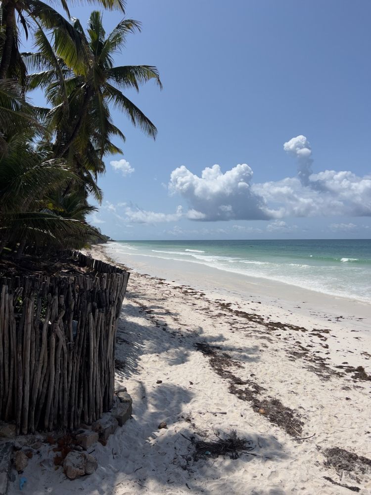 white sand beach