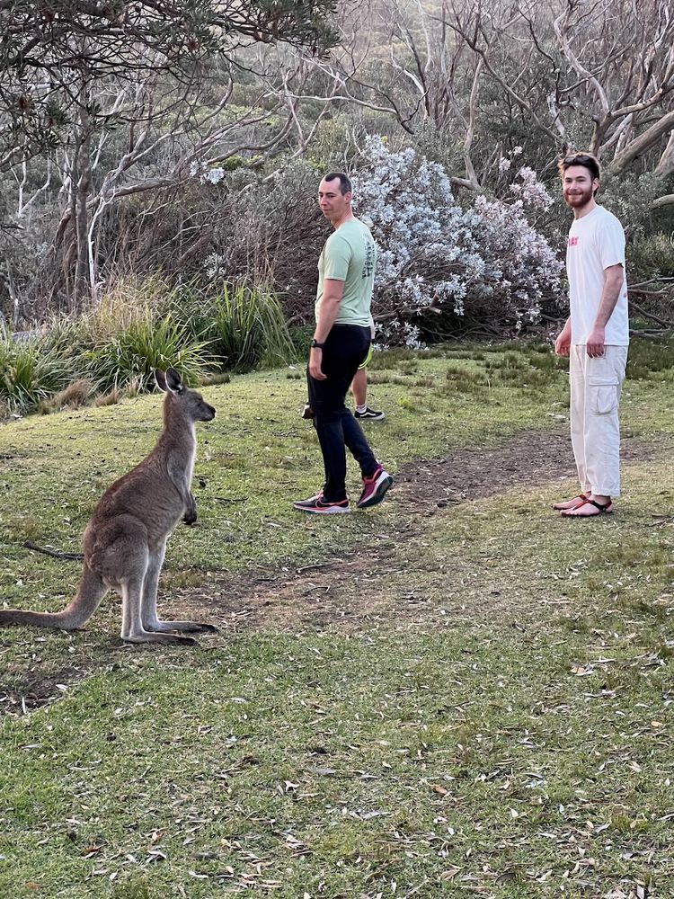 people near kangaroo