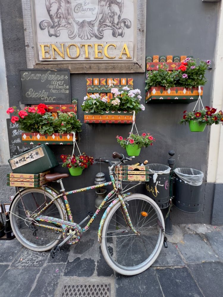 bicycle in front of flowers