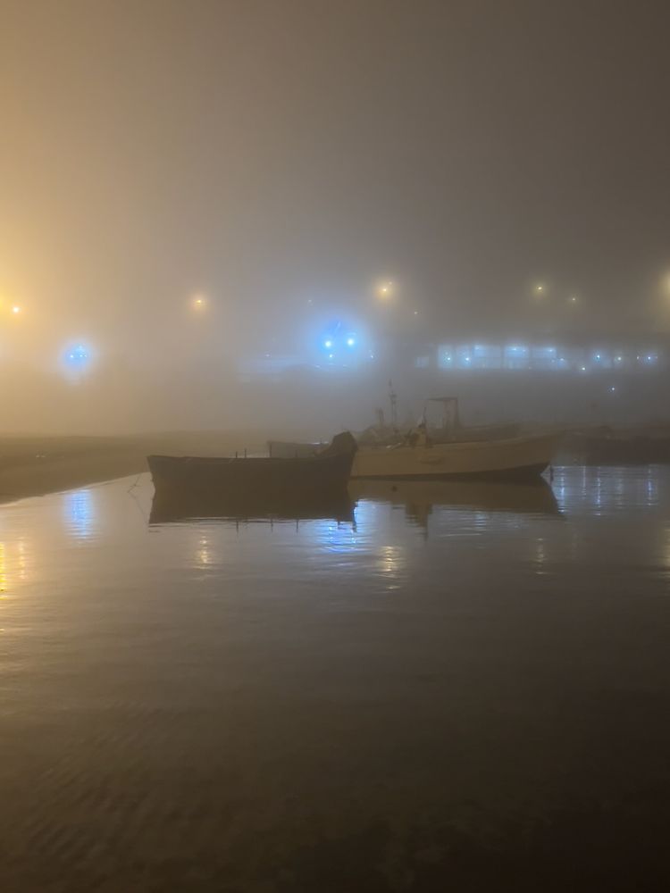 boat in harbor in fog