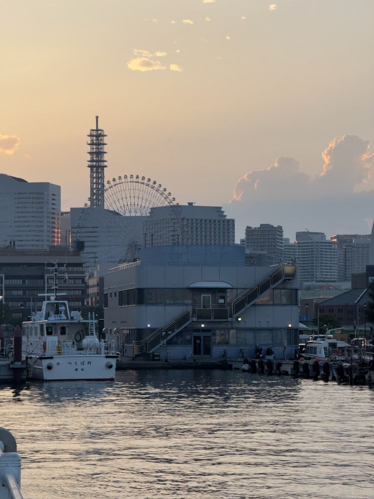 city from water at sunset