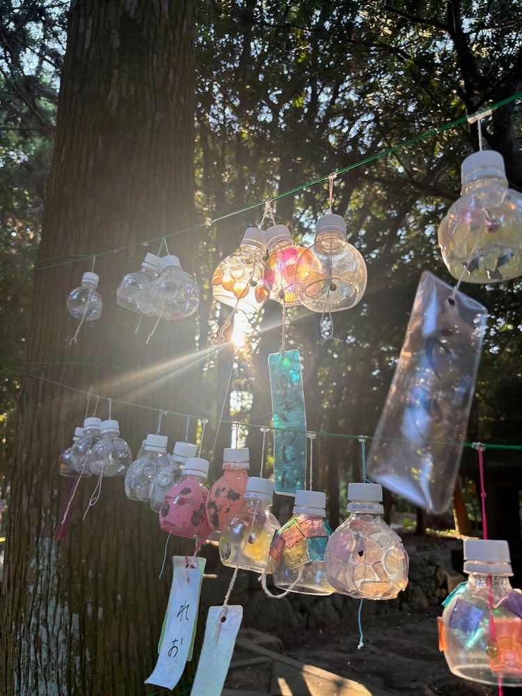 sunlight through trees