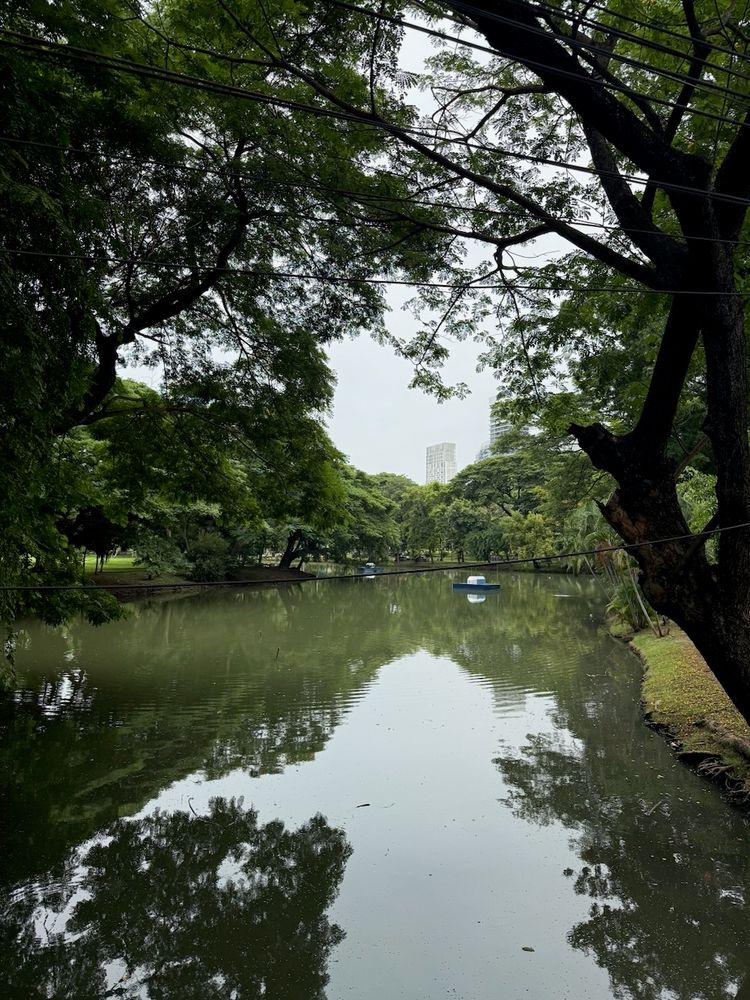 park pond