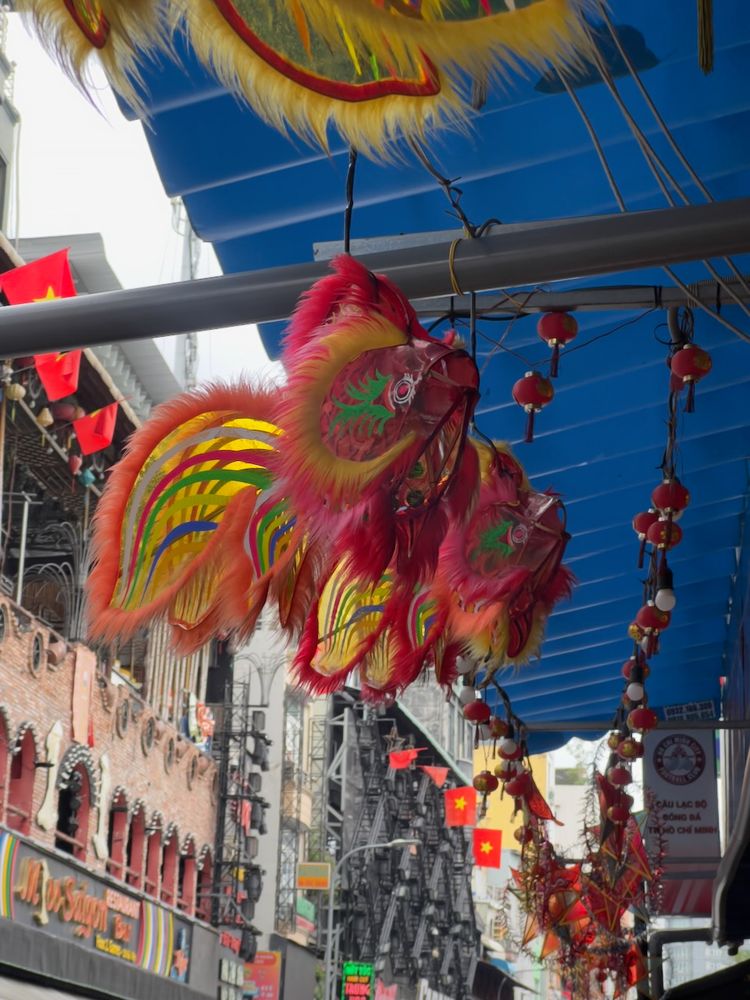 colorful fish shaped lanterns