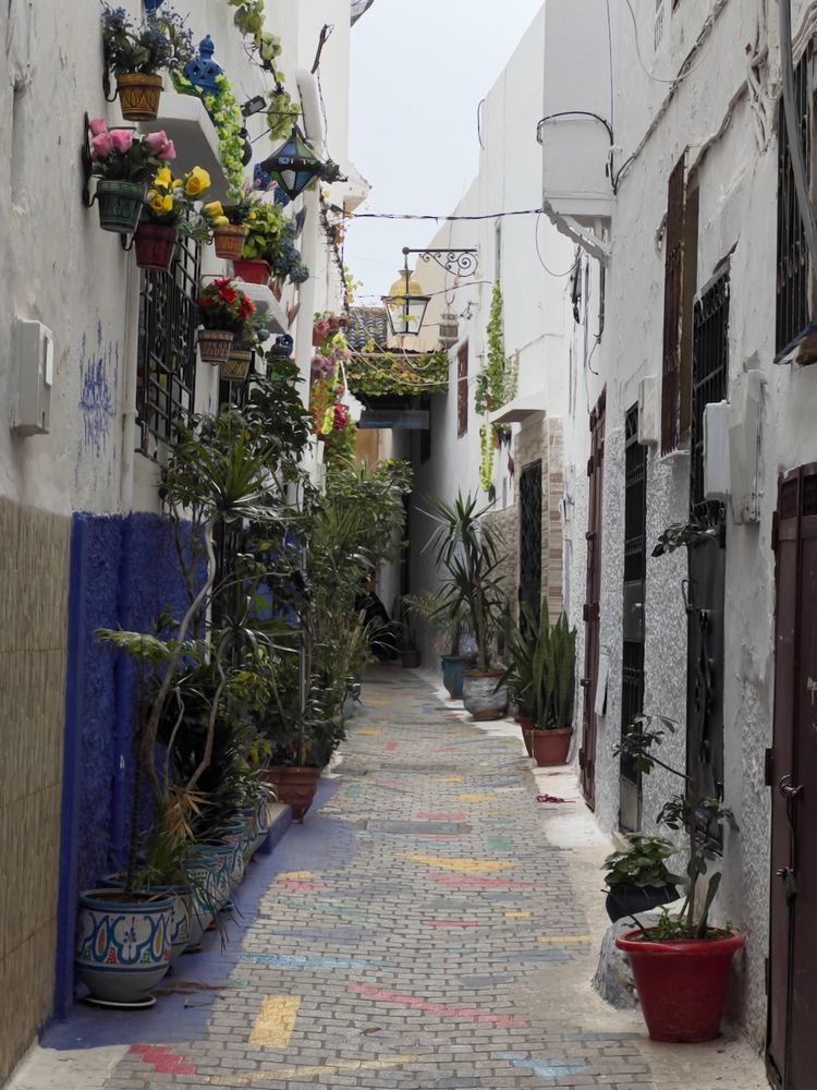 narrow street in a medina