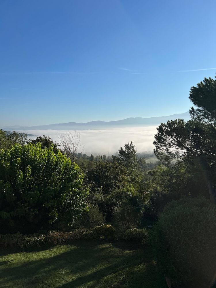 fog in valley