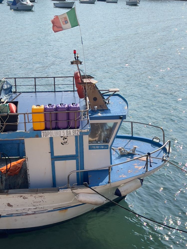 boat from above