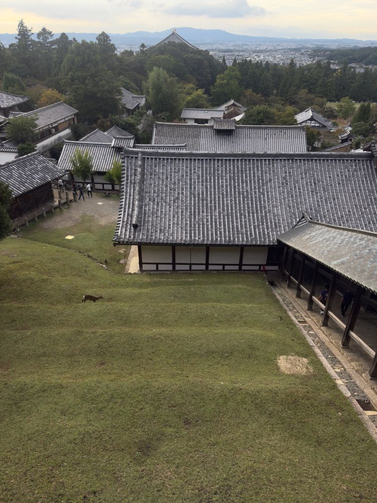 japanese temple complex