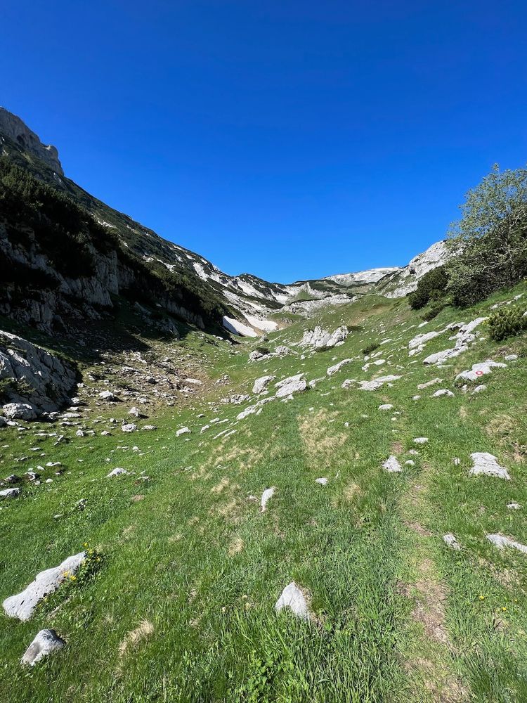 alpine trail
