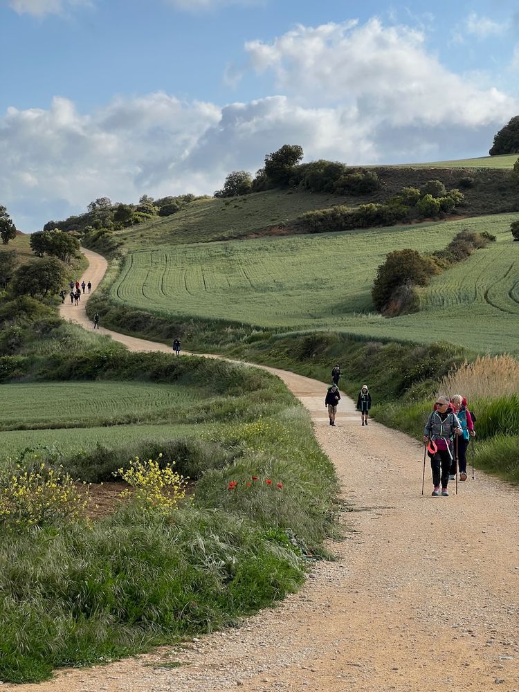 pathway of the camino