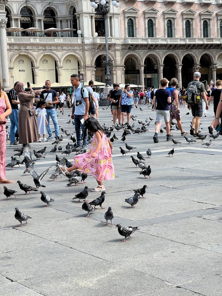 child chasing pigeons
