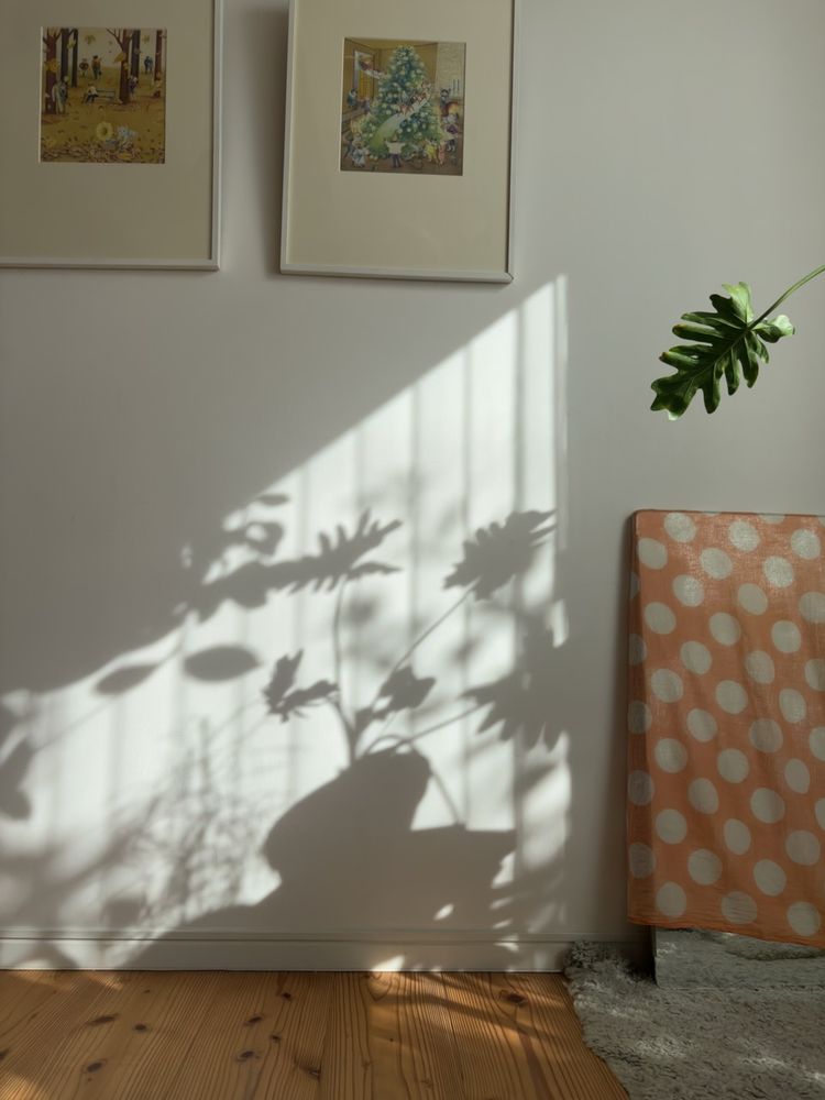 shadows on wall
