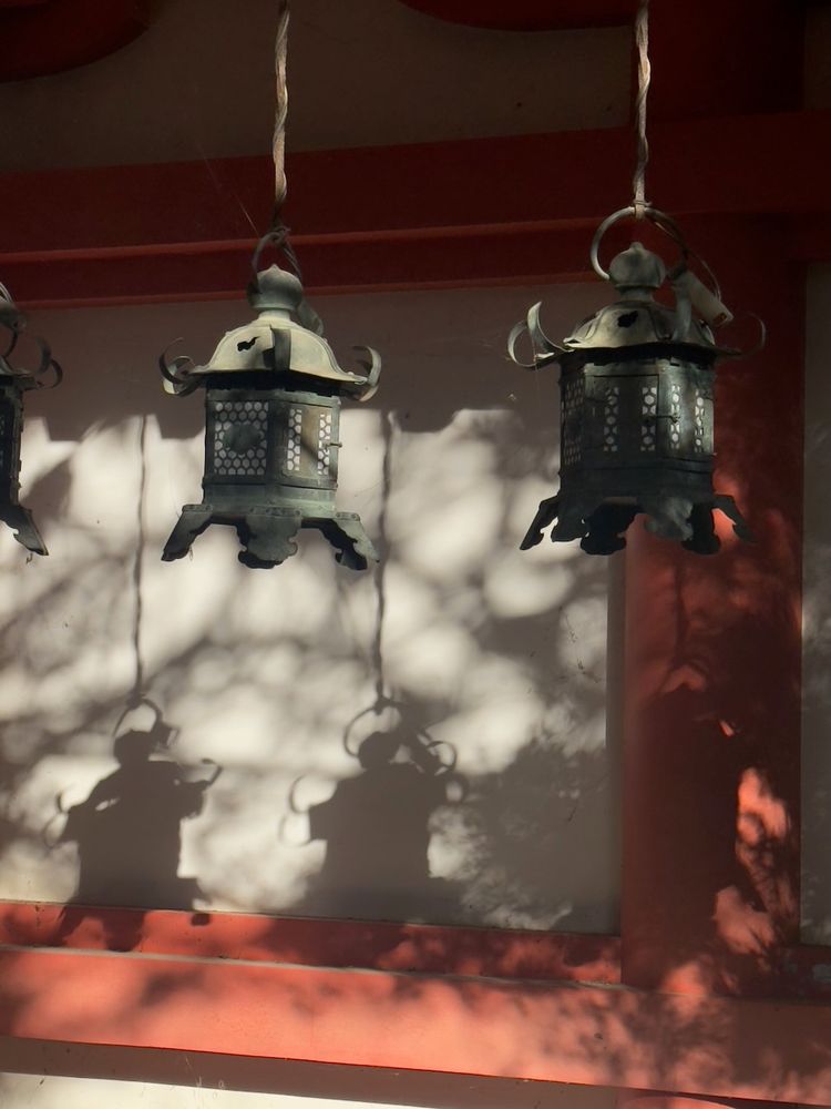japanese lanterns