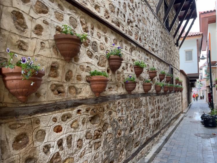 wall of plant pots