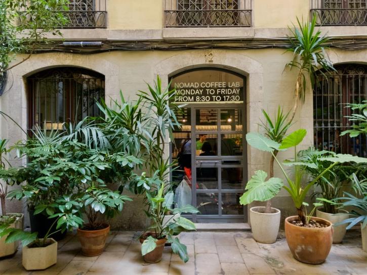 courtyard with lush plants
