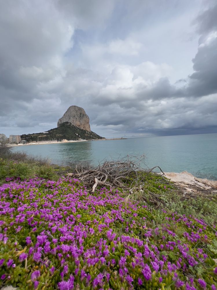Penyal d'Ifach with flowers in foreground