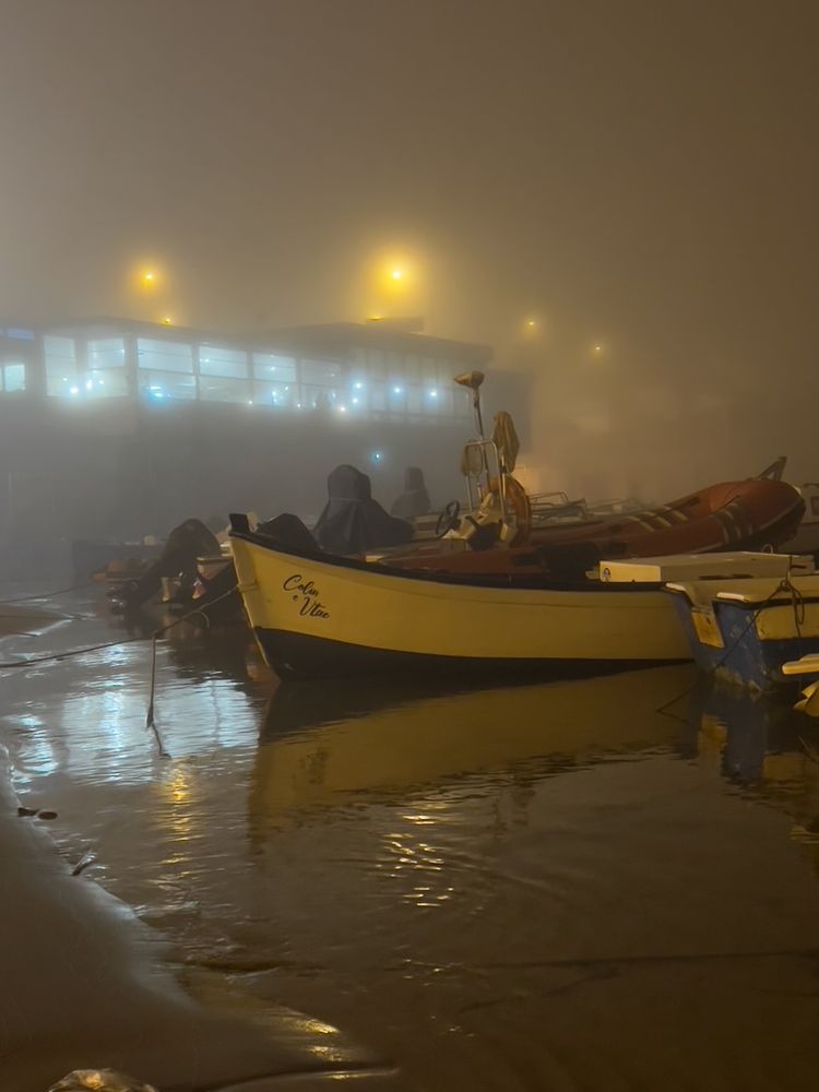 boat on beach in fog